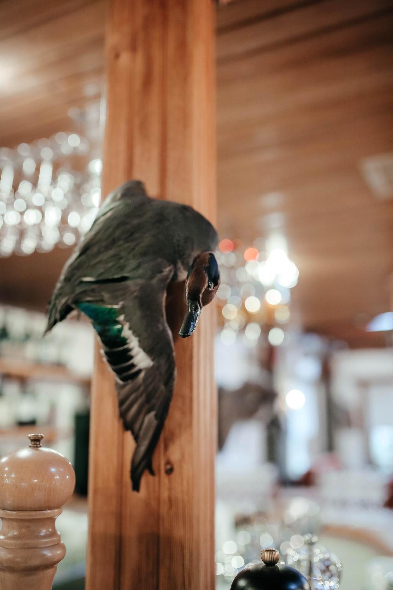 Тау-House Hotel Kok-Shoky Buitenkant foto